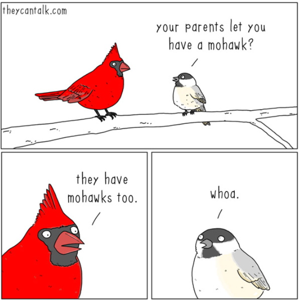 image.png.62f946fa2669a3c6835174f11a376776.png