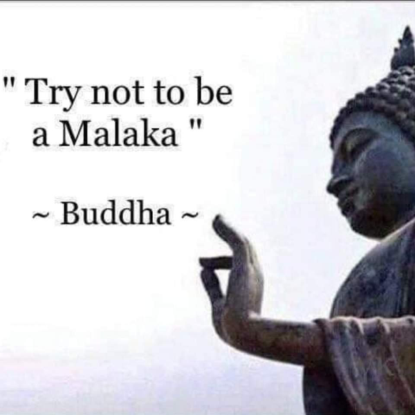 image.png.f2cbcb5aafef0824e7e3a390ab0204b8.png