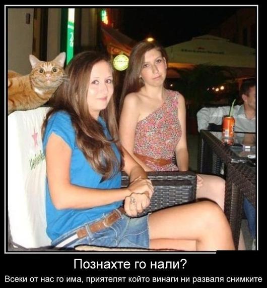 kotarak.jpg.6ae78d8fffe49d5eff8cb83c1bf36e25.jpg