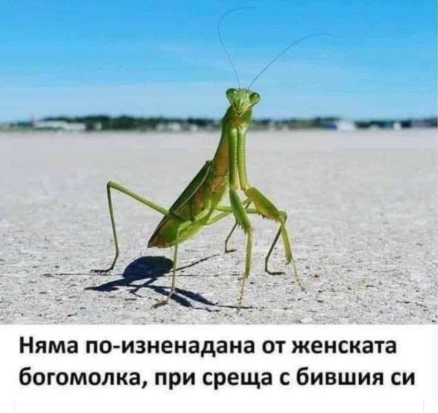 IMG_20220810_205025.png.e4c3f0e92344976729e8519d62ec9b62.png