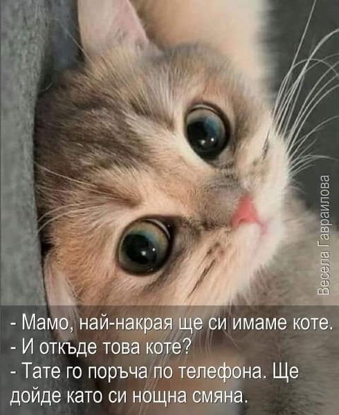 FB_IMG_1664928332803.jpg.0b556d765c7e1052726266bc8756f4dc.jpg