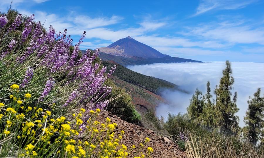 Vulkano_Teide-Tenerife.jpg.a9afaad9d7b141db080da9c072c9871a.jpg.6e4c7788d314567f0734bc1a8640c811.jpg