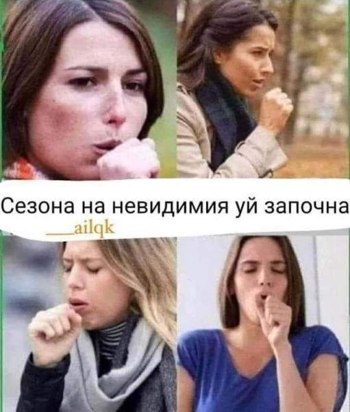 FB_IMG_1666387769192.jpg.161f9c7fab2c7ea4846b7db344dd2cad.jpg