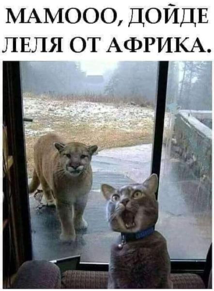 Screenshot_20221111-064746_Facebook.jpg.b02da17f1eed8b7c2e4e70dc544c7053.jpg