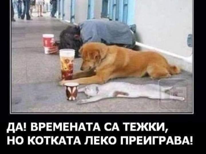 Screenshot_20221113-102539_Facebook.jpg.b2a544d9a97e7a7003b3c8c04ce6be07.jpg
