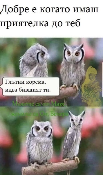 7713DB68-ECBF-4FE1-BDE4-E094551D316E.jpeg.66fd67ed02892477447e5b2233ce2e6e.jpeg
