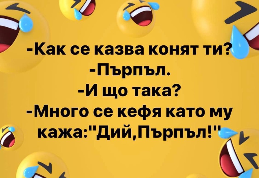 80F80DCE-A20D-42CB-8787-5FCAE68CE76A.jpeg.d7c595e2e3df576940ba6a975b2d3a1a.jpeg