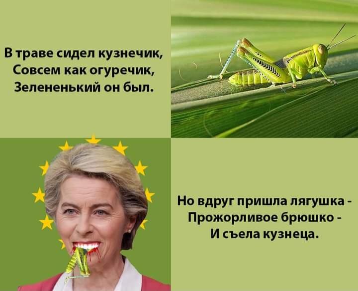Screenshot_20230131_001346_Facebook.jpg.5acad5ce2c4e56d6d855c585b7ea9fc0.jpg