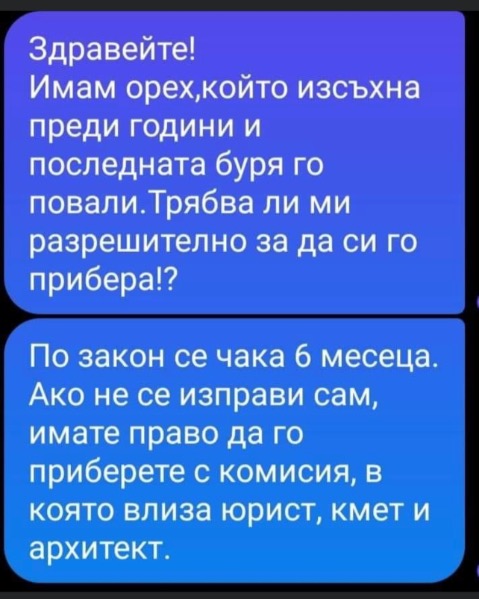 A4FE5CB7-A2B4-4D49-B2C2-DEE8D8A24FFF.jpeg.276594f30586a6df6ac6baeba45dc69a.jpeg