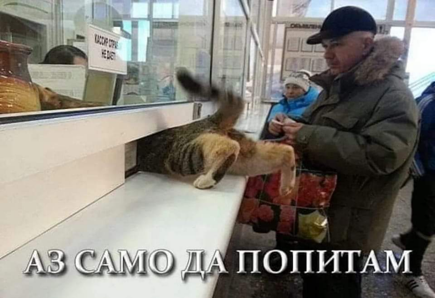 image.png.305554ee5d83ff2abc1d44fa6a522c2b.png