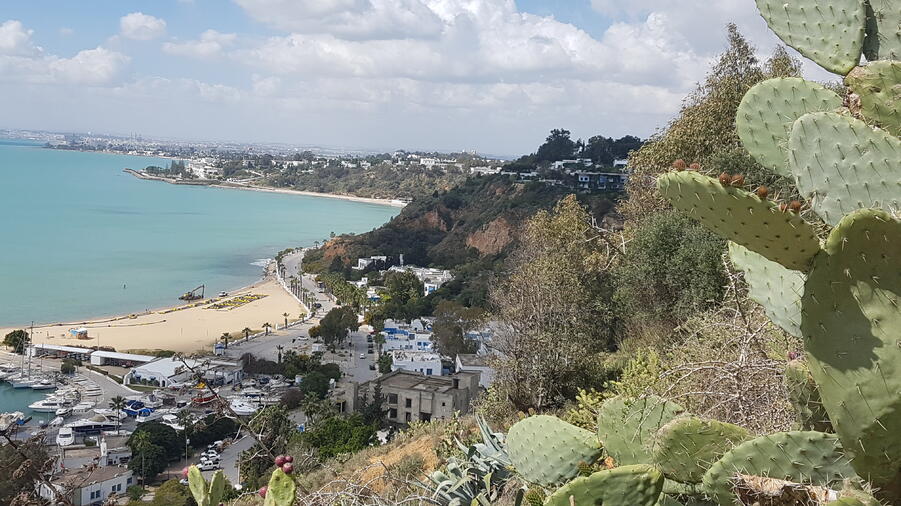 Sidi Bou Said, Tunisie