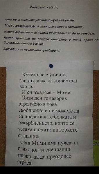 IMG_1513.jpeg.916c44348b7b49f92961b38d08fb31b0.jpeg