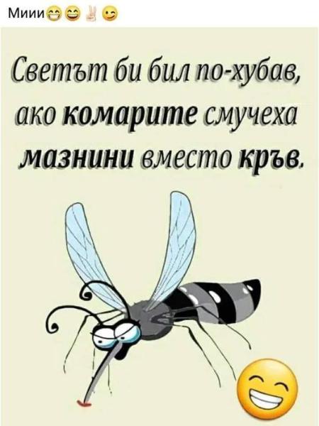 353026817_213927958191101_1886958066018720046_n.jpg.5be3a9c20fbaa86c67a2cb3ec3277003.jpg