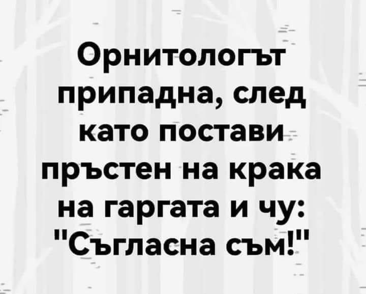 IMG_0508.jpeg.845a6e74ab0c985bbf12036e99de64b7.jpeg