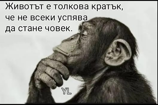 22.png.70ed7e5ff604288c1ee847a207056302.png