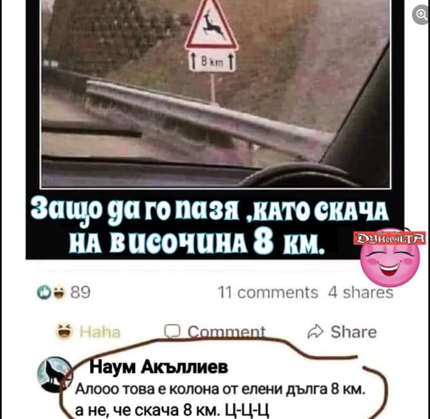 8.png.880230e85af9100c54edc4fb43bae852.png