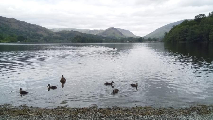 Grasmere.jpg.c572cbbcf5685bc0037cd20d7d82832b.jpg