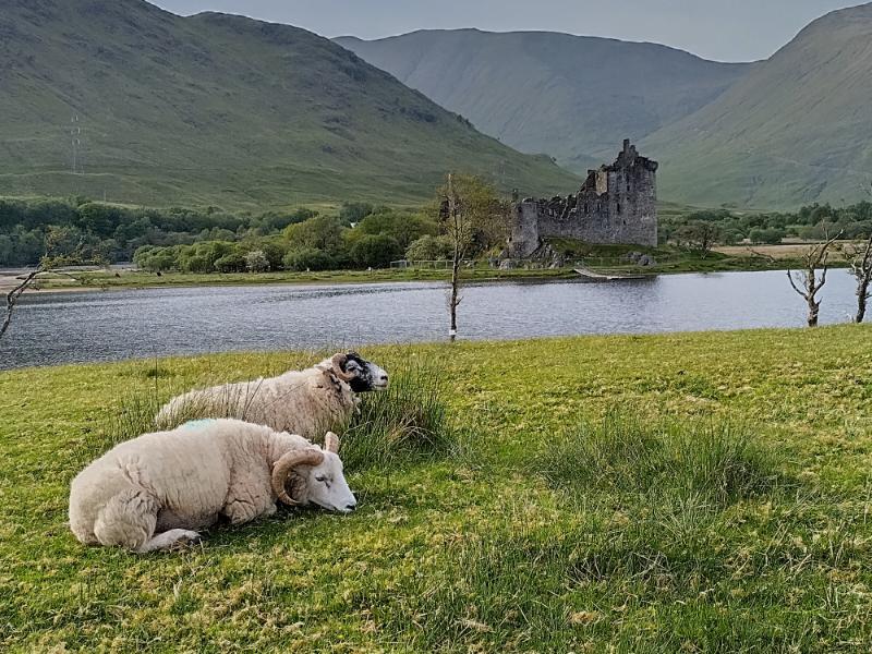 KilchurnCastle2.jpg.1256b3b8737e22670a1835f84ea6fd82.jpg