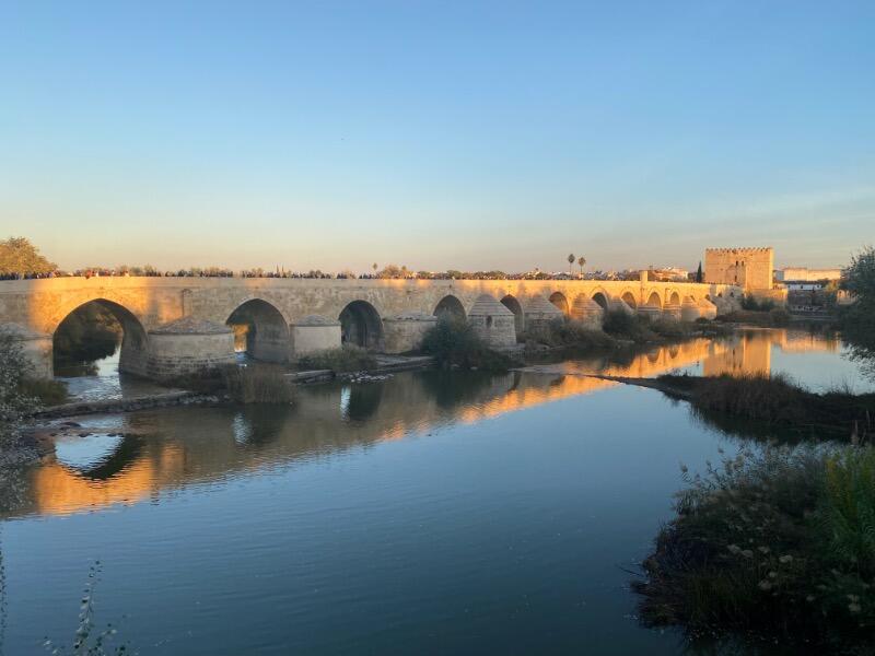 IMG_9498.jpeg.352a74391d9dbc298490d7a990e2c35e.jpeg
