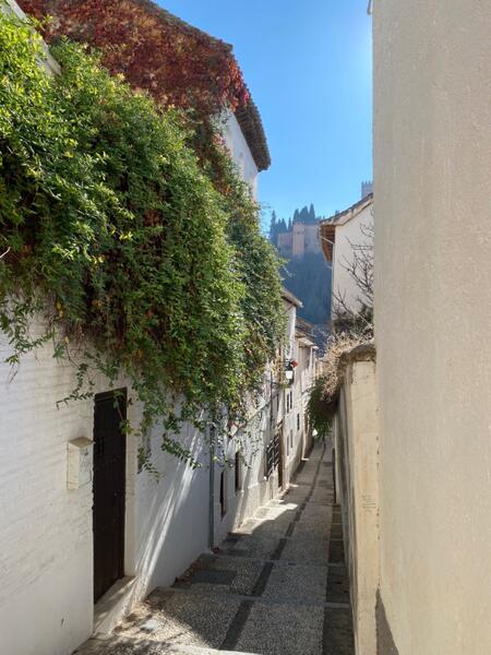 IMG_9595.jpeg.6de99a9a0446f1d95d1cbcc883b34944.jpeg