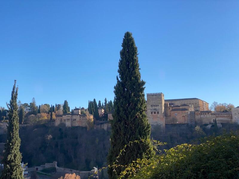 IMG_9729.jpeg.855499bfa0643d842907c6fa328cef07.jpeg