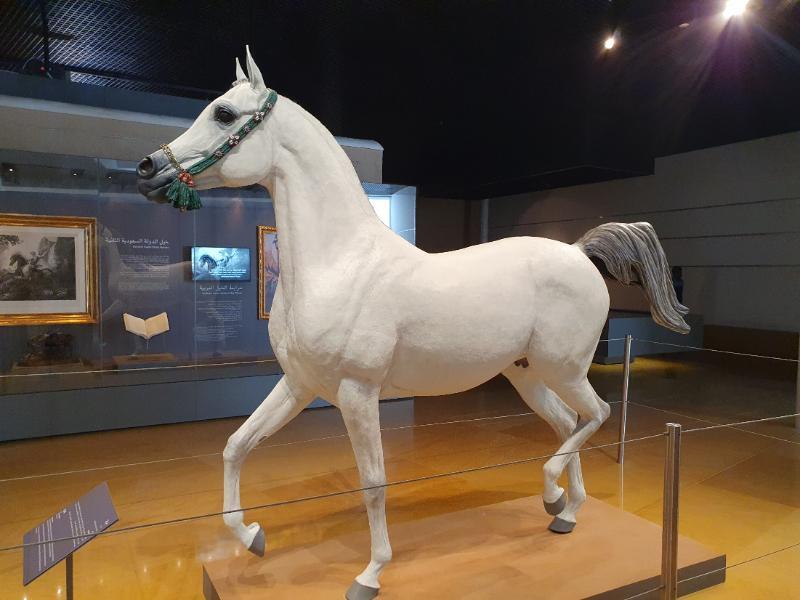 horse.jpg.0f42c3db5f2dc2bc5cc559a1827ddcfe.jpg