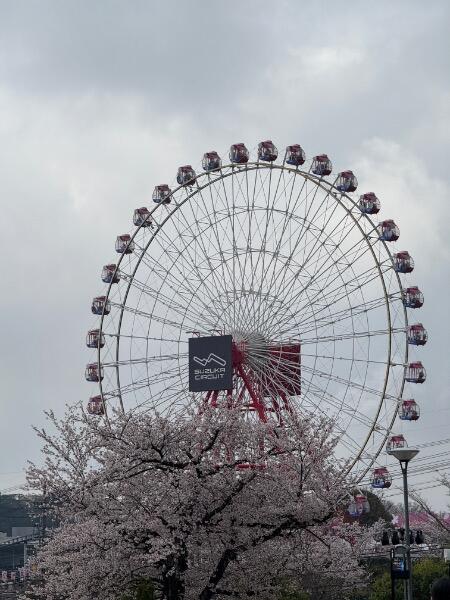 IMG_0589.jpeg.28a2ff5b84ca78eea4f64a629b0a7d1f.jpeg