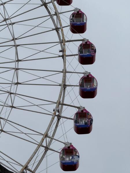 IMG_0630.jpeg.15905e152be928b56c45d798e712aab9.jpeg