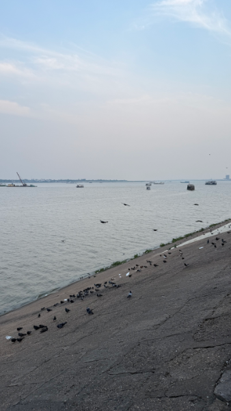 IMG_7038.png.270cf32f351a1dba1cc8fa5930ae45ae.png