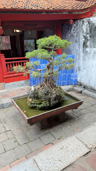 IMG_8860.png.6e6ebdad343b3a2967fa760a8efb3395.png