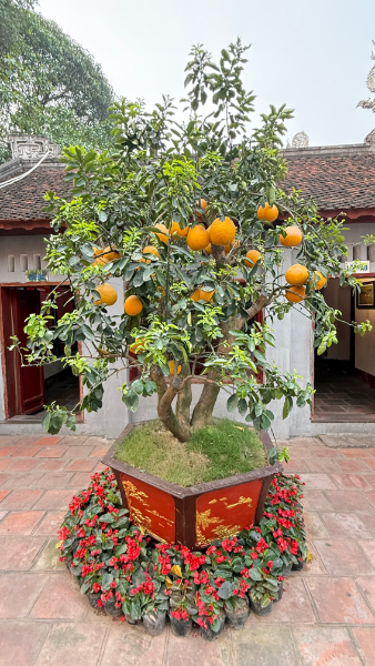 IMG_8954.png.b9f04f367ac2cc558fa266f4af9f92bb.png