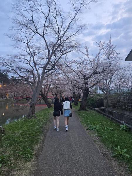20250419_180958.jpg.e9da092a0402912755e61823a1bdd236.jpg