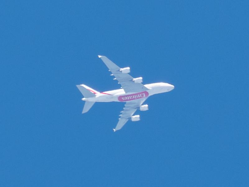 P5180024-Enhanced-NR.jpg.c55f3632de4fe64227791eb4b3e231e6.jpg