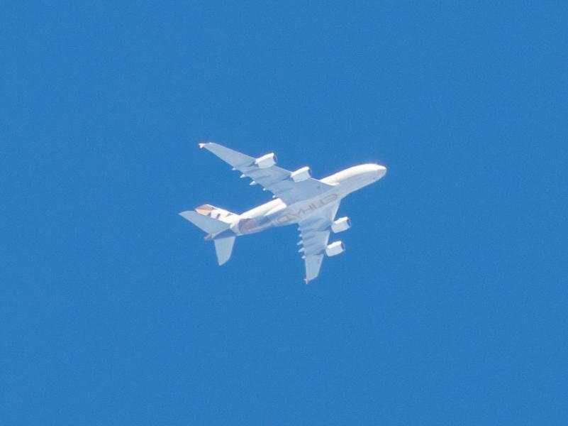 P5180038-Enhanced-NR.jpg.d1328ccc8d13a77ea9987f26813b7d69.jpg