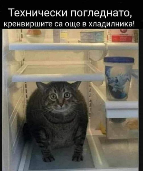 image.jpeg.ed2116602cee60cd5eebc8ff5f46f046.jpeg
