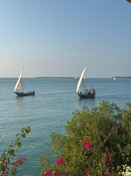 IMG-20250305-WA0029.jpg