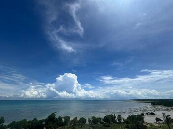 IMG-20250504-WA0005.jpg