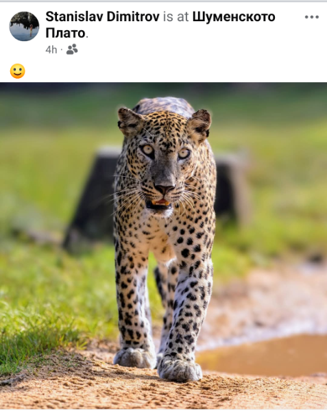 1000134980.png.b316e6b887fe1dcbb55c9a42c10101bf.png