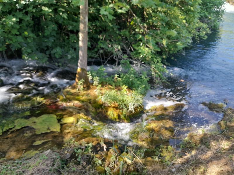 20250614_094300.jpg.c98c3c08e415ec215e131767d9d6ea3f.jpg