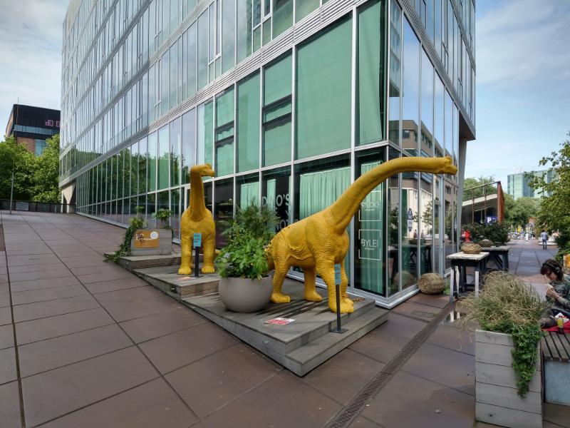 IMG_20250605_162935781_HDR.jpg.39a07364ad797add40fdd8fc71bf67f5.jpg