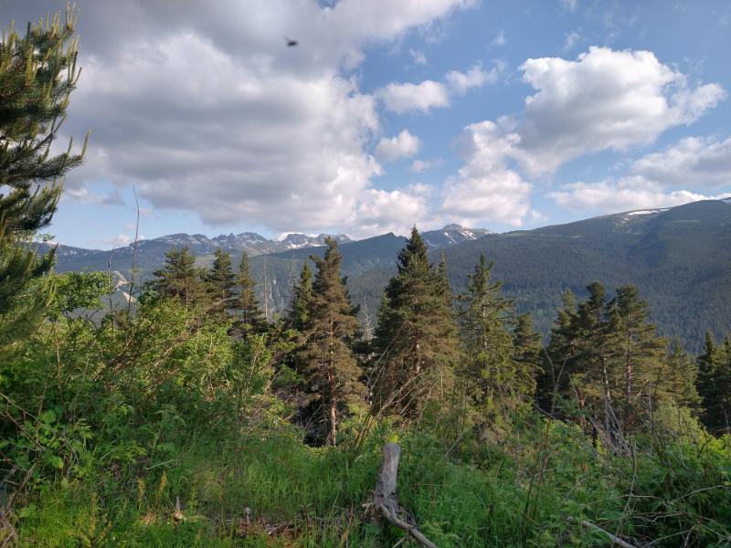 IMG_20250615_182742479_HDR.jpg.776e5d8132071605bde26e80e59be262.jpg