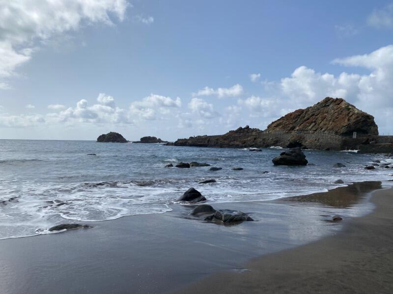 IMG_5252.jpeg.011a9964570357c9d2ac319a41328d1c.jpeg