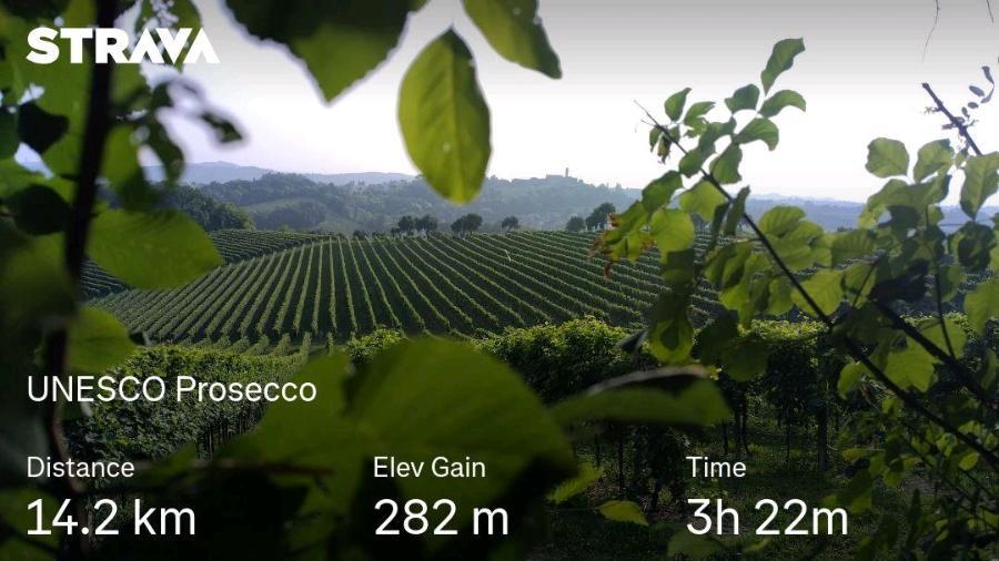 strava3985886702558395285.jpg.ee389136ed0397fcd4d6099d1eac4cdd.jpg