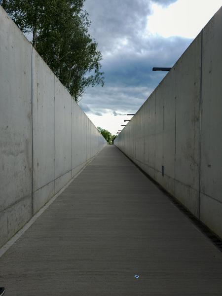 20250625_171101.jpg.b5c66522194d5dd82ee4259dc2de3108.jpg