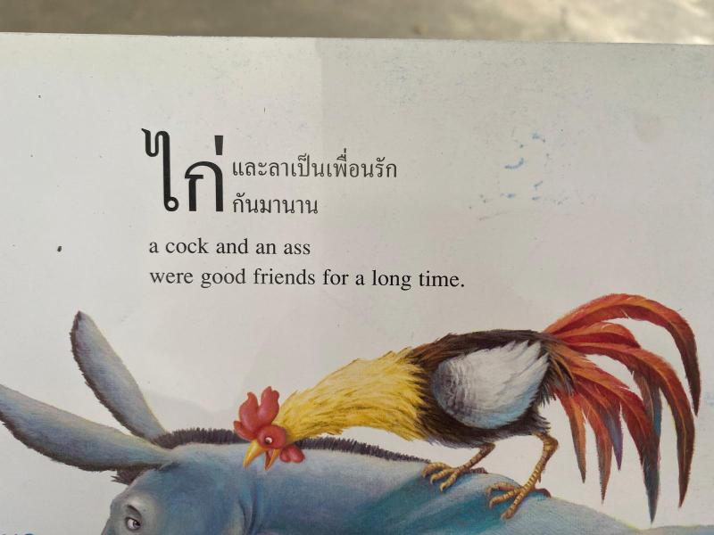 IMG-20250730-WA0004.jpg.ae8e894767f78df147cd25a375d5bbed.jpg