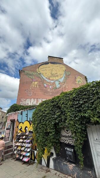 IMG_4009.jpeg.b2972115814b4a9b3d098c6c8c6910f0.jpeg