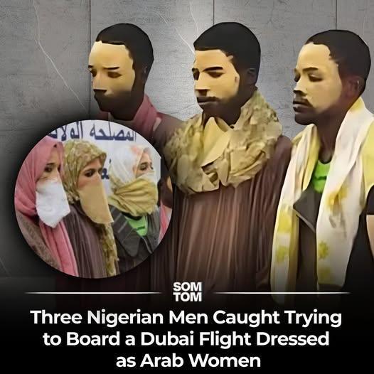 image.jpeg.b62d9e86cbb2eec06900a7bce02ed003.jpeg