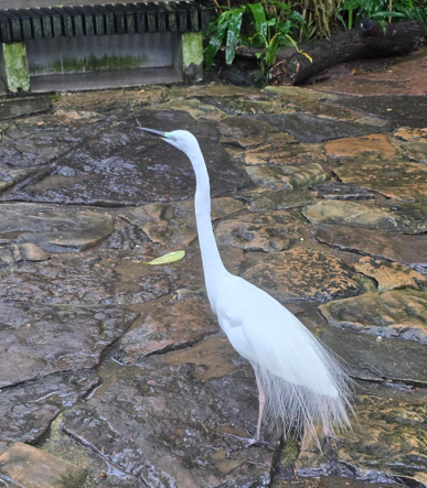 image.png.11f87576184c8ea30cac4f0020eec2da.png