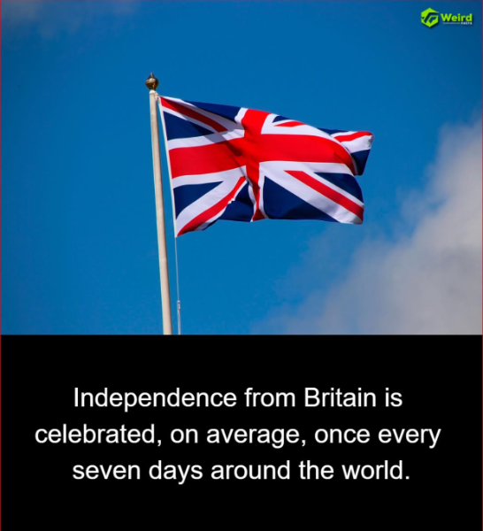 image.png.d629778dad52d0ad01a516b66bce2222.png