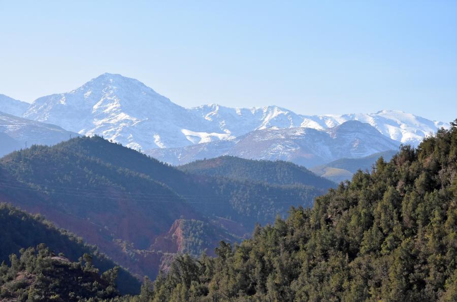 DSC_0680.JPG.641143f8b0b69da14770c1228287f5cb.JPG